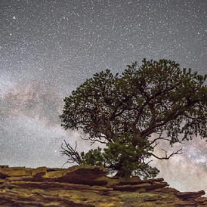 穿情趣内衣上学要注意什么
